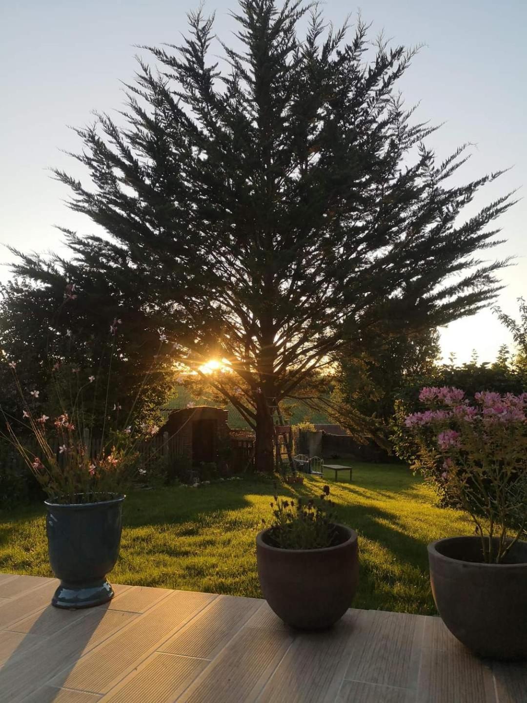 Au Coeur De Mortagne, Un Balcon Sur Le Perche Βίλα Εξωτερικό φωτογραφία
